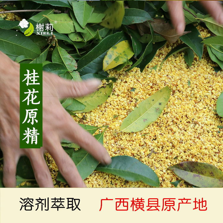 桂花净油桂花原精溶剂萃取单方精油广西原产地厂家直供