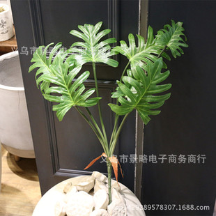 ��Ʒ���з��洺���~�������G�qֲ���Ĵ����~ϲ����S�����l