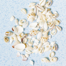 �����L���������z���zDIY��������ϰ�����С����ؐ��