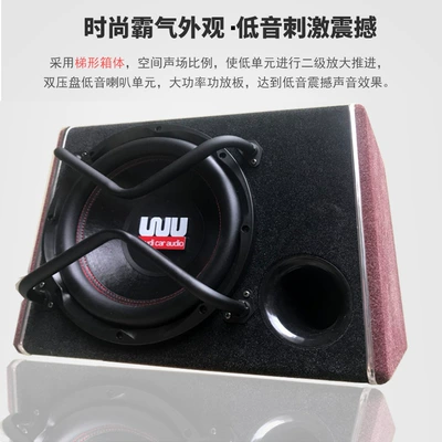 Factory direct supply snow Car speaker/subwoofer