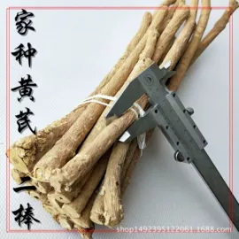 其他药食同源;黄芪;淫羊藿