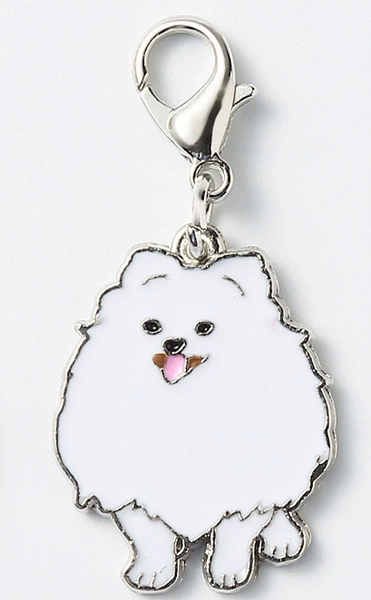 Pomeranian-white