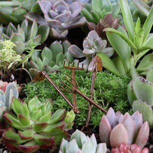 ���㻨�@�@ˇ�쾰�b����f̎������С����4����