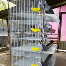 笼具厂家鹌鹑笼五层六层立体式阶梯式鹌鹑养殖笼家禽笼具生产厂家