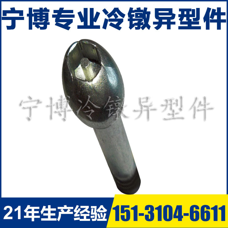 厂家定 做碳钢防盗螺丝 异形大头紧固件连接件异型防盗螺丝