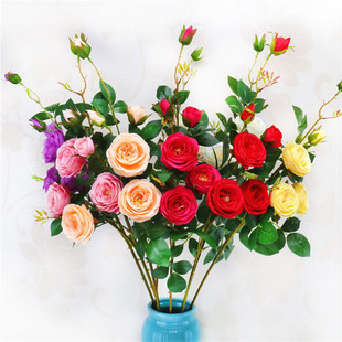 6�^���������_�Ĳ�õ���滨 �Ҿ��b�c��Y�üٻ����컨���l