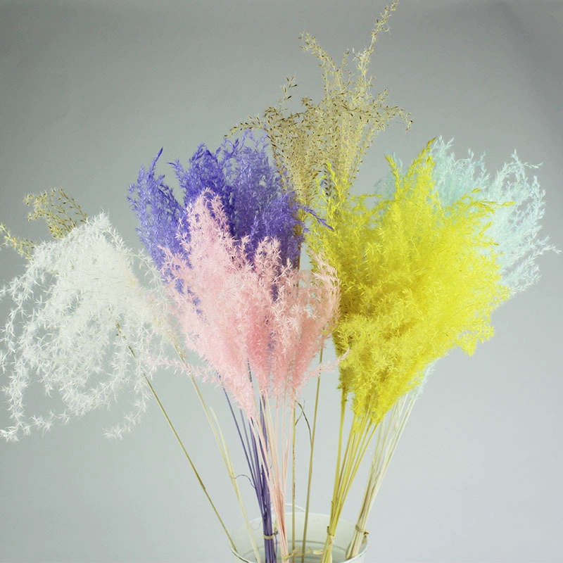 Небольшие деревца сухоцветов, букет сухих цветов для гостиной, домашний декор, материалы для вставки живых цветов