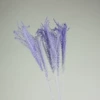 Purple (1 bunch of 10 branches)