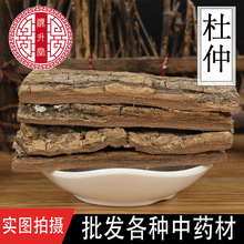 中药材杜仲皮供应各种规格老杜仲厚皮杜仲泡酒料喝茶批发量大从优