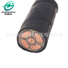 YJV�����|4+1��о������ϩ�^����ȼ�S������С�^�������늾�