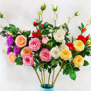 6�^��õ ���滨���l  �Ӱ巿ƿ��  ��c��Y�����Fˇ�b�