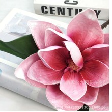 ����PU���m���滨�ٻ����l �m��ľ�޻���c�ҾӔzӰ�b�