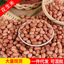 现货批发大白沙花生米 脱壳榨油花生仁原料 白皮红皮生花生米25kg