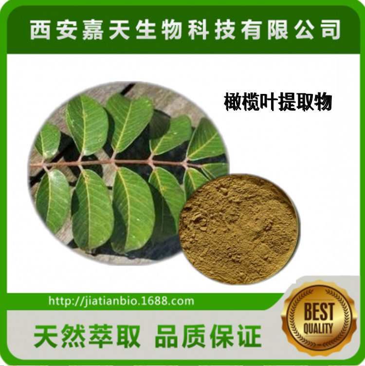 橄榄苦甙/橄榄苦苷20%  橄榄叶提取物 批发价格 多种规格量大从优