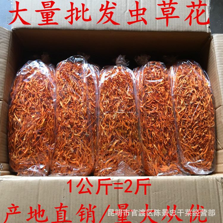 农产品虫草花 干货虫草花产地1千克直销批发 量大从优