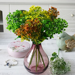 ��֦�̗U���ϲ�÷����֦ ���滨�ٻ� �zӰ���^�Gֲ���ֹ�diy��