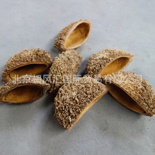 【刺猬壳】进口干果干花干枝搭配装饰拍照道具天然植物家居摆设