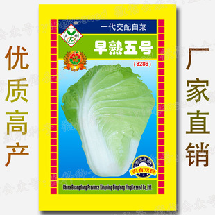 ������̖�ײ˷N�Ӵ������l �r��ˈ@�s���������۰��İײ��߲���