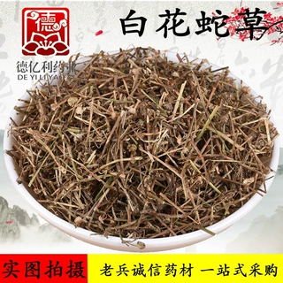 批发现货 白花蛇草 草药大全 舌草 一站式采购  量大从优