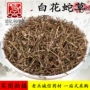 量大大全采购白花蛇草