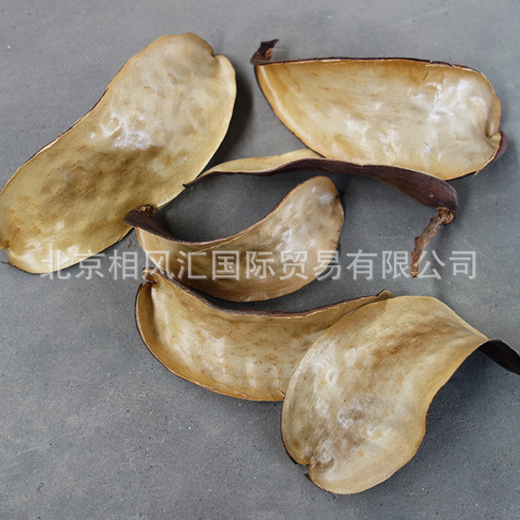 [Tibona] Imported Dried Flowers Do Not Ward Flowers Decorative Decoration Photograph Props Flower-arranging Natural Plants Dried Fruit