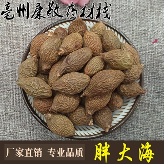 批发新货胖大海花果茶胖大海茶手选货散装颗粒饱满大货广西产
