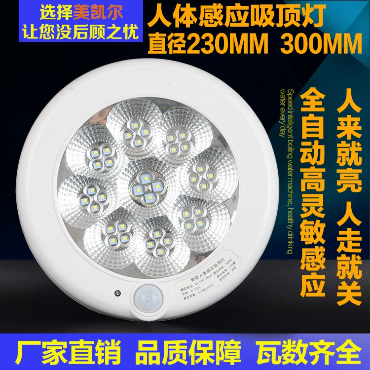 LED physiological induction ceiling light with light music