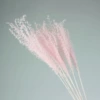 Pink (1 bundle and 10 branches)