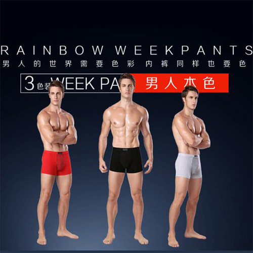 Modale England Guard Pants Men Official Men's Briefs Straight Leg Pants Magnetic Therapy Magnetic Stone Health Underwear Manufacturer