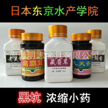日本东之水诱鱼小药饵料添加剂猪母奶穿透王九天香促食剂野钓黑坑