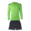0118 long sleeve: fruit green