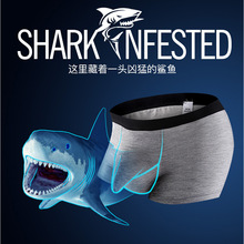 �S��ֱ�N ��ʿ��ѝ�������x�����ѝ����������m͸��ƽ��ѝ�^