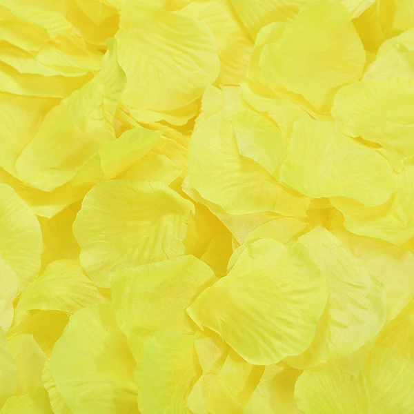 No. 23 Yellow