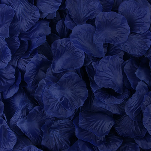 No. 17 Deep Blue
