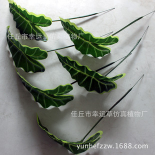 �����~�٘��~�^�z���^�~�����~�F�z�U��ֻ�~���W�L�廨���~