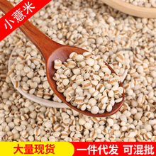 ���lС޲�� �� �F���r��С��޲����޲������ С޲�� ��������s�Z