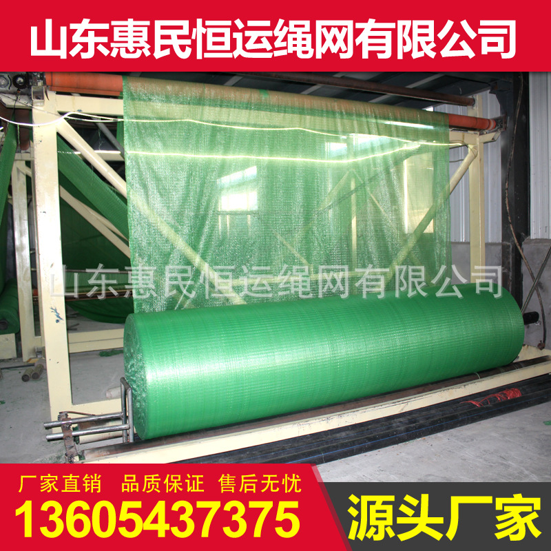 厂家直供扁丝盖土网 建筑防尘网矿用盖煤网 绿色聚酯盖土网