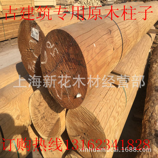 �ŵ佨�B���̌��õĈAľ  �M��ľ�� ɼľԭľ �Aľ�r�� �A��ľ��