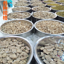 批发供应 云南昭通天麻 云南小草坝天麻 产地批发量大从优