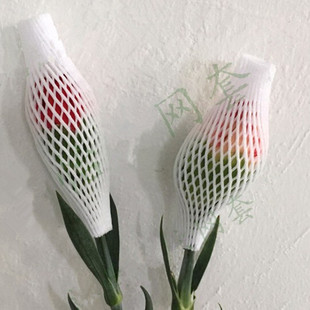 �����}���l �¼���õ�廨�W�� ���ٱ��o ��������ĭ�W�� ��ݮ�W��