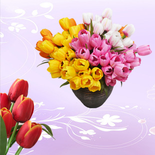 �S�����l���滨�������z�~9�^�������û��@�־G��������������