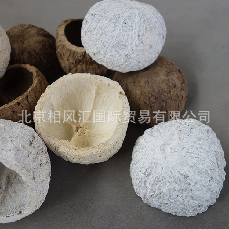 [Small Bowl shell] imported dried fruit dried shell dried bowl candle tray natural plant decoration with home furnishings