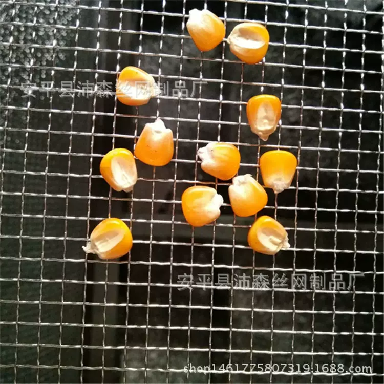 供应东北玉米水稻挡粮网| 铅丝铁丝网|镀锌方眼网|镀锌铁丝轧花网