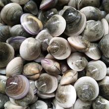 ȫ���������r���l �r��ؐ� ����� �F���� ����ɳ�׺��rˮ�a�r��