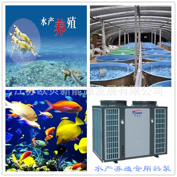 2工厂化水产养殖热泵机 水产养殖热泵热水系统 鱼虾养殖加热设备