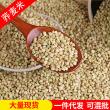 批发荞麦米 农家粮食三角麦粒五谷杂粮荞麦仁 粗粮荞麦粒煮粥