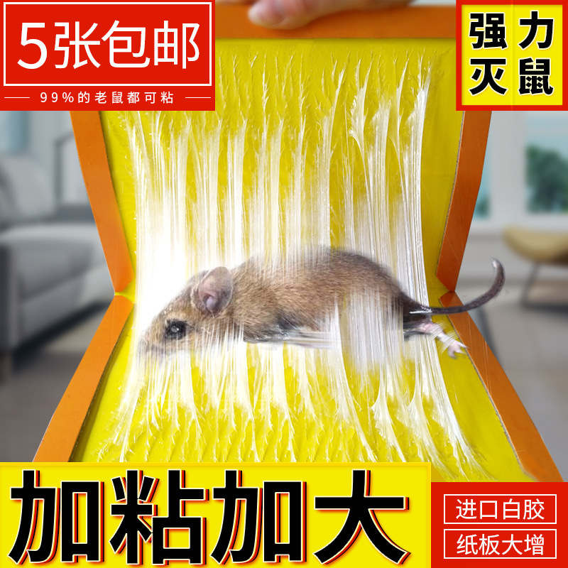 Yuan Ye Sticky Mouse Board Strong Mouse Sticker Mouse Cage 35g Mouse Glue Special Sticky Rat Board Large Size Mouse Sticker