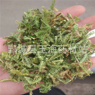 ���ݣ�1000�ˣ�  ��ș�����l���NҎ��ș��