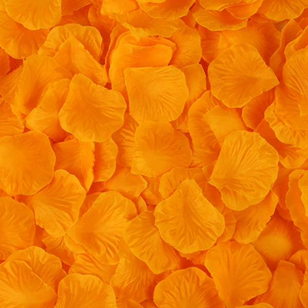 12 orange yellow