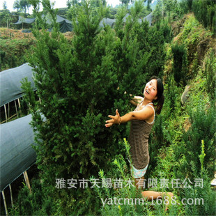 �������l�@�־G����N���؁��t��ɼ�G����e��ͥԺС�^�����L����